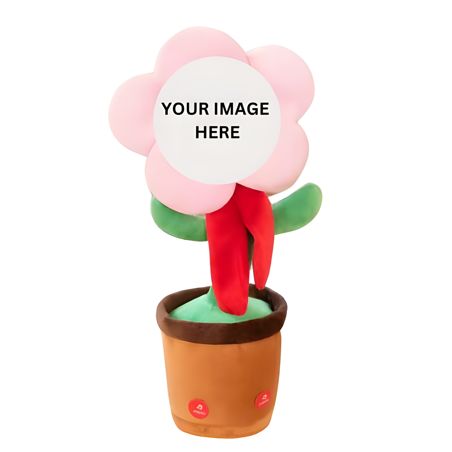 Noisy Daisy